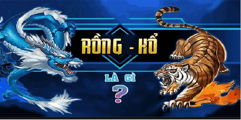 Thông tin chi tiết về luật chơi bài rồng hổ chuẩn tại R88